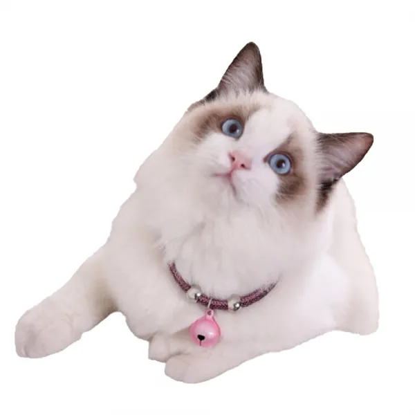 예보들 고양이 방울 목걸이, 핑크