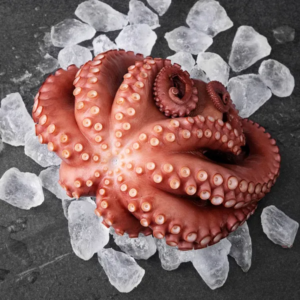 단디프레시 한마리 데친 문어, 1.5kg, 1개