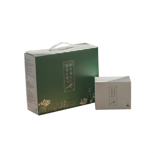 건강비서 힘없는날 부추즙 진액, 40개, 90ml