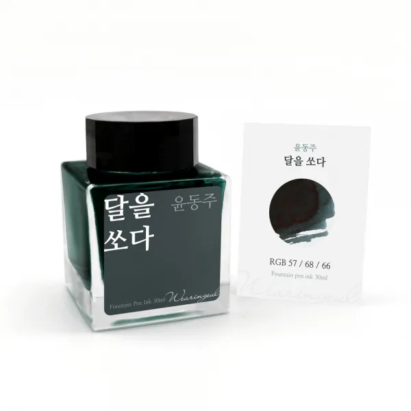 wearingeul 윤동주 달을 쏘다 잉크 30ml, 그린 블랙, 1개