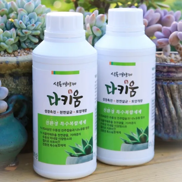 다육이야기 다키움 다육식물 영양제 500ml, 1개