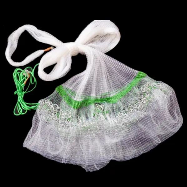 경심 투망 중 단일색상