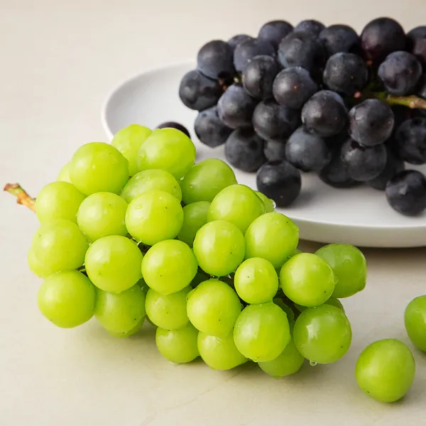 하이프루츠 알이 굵은 이색포도 샤인머스캣 + 거봉 1세트