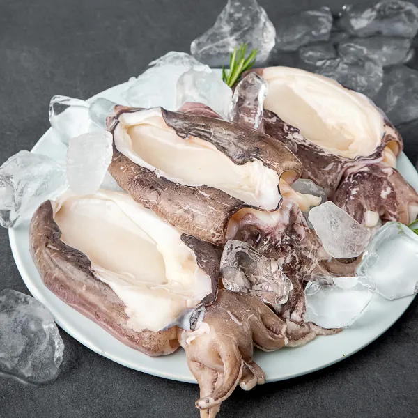살맛나요 탱글탱글 손질 갑오징어 대 3미 (냉장), 500g, 1개