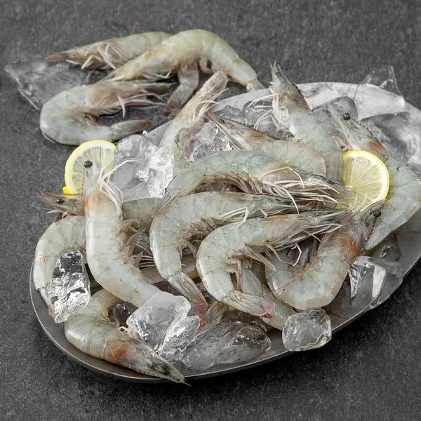 살맛나요 서해안 산지직송 갓 잡은 생물 새우, 500g, 1박스