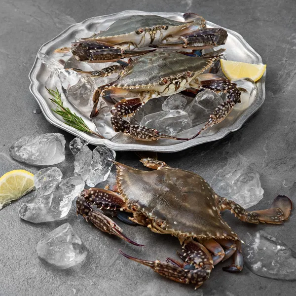 백미리에서 선별한 서해안 산지직송 암꽃게, 1kg (3~5미), 1박스
