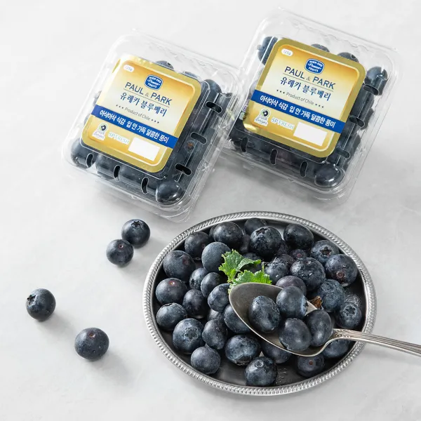 폴앤박 유레카 블루베리, 125g, 2개