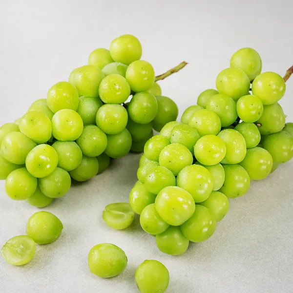 산지직송 아주마 영동 상주산 샤인머스켓, 1.5kg(2~3수), 1개