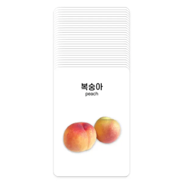 리틀리 과일 채소카드 27종 세트, 혼합색상