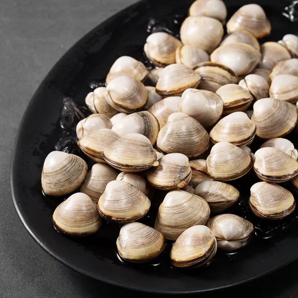 백미리 어민이 직접 잡은 서해안 갯벌 동죽조개 2kg (냉장), 2kg, 1개