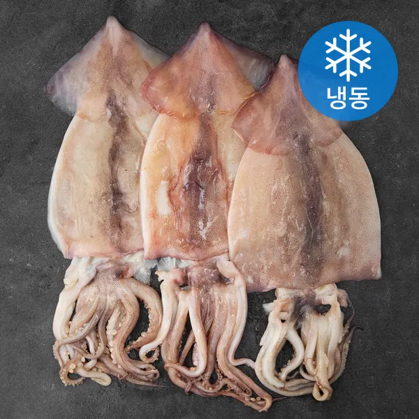 아라보감 원양산 개별포장 두툼한 손질 오징어 2~3미 (냉동), 1kg, 1개