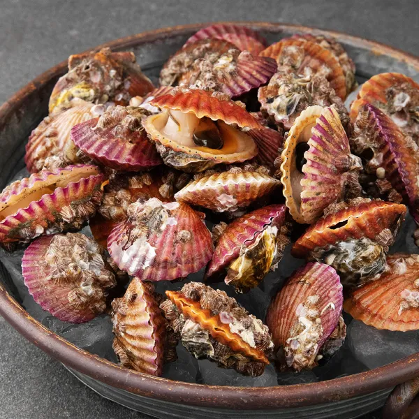 다복 청정바다를 담은 홍가리비, 1kg, 1박스