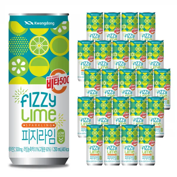 비타500 피지라임, 24개, 250ml