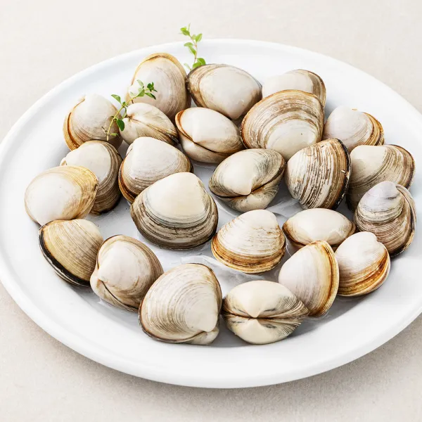[로켓프레시] 서해안 갯벌 동죽조개 (냉장), 1개, 400g