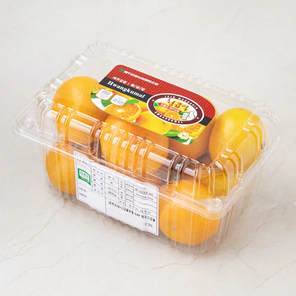 감귤농협 GAP 인증 황금알 하우스 감귤, 800g, 1팩