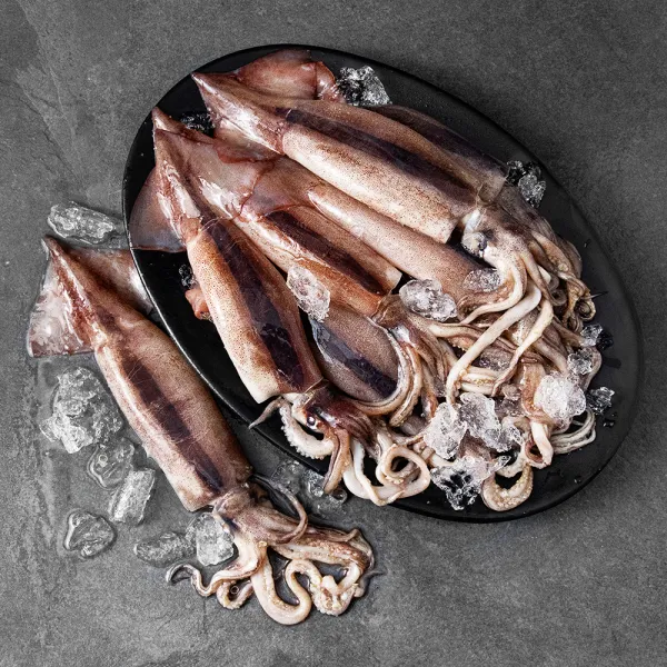 살맛나요 국내산 서해안 산지직송 생물오징어 (냉장), 1개, 2.4kg(10미)