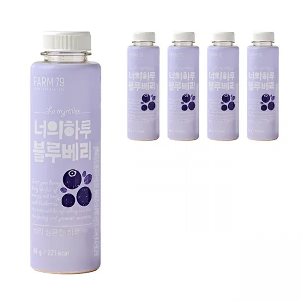 팜79 너의하루 블루베리 가루 5p, 1개, 250g