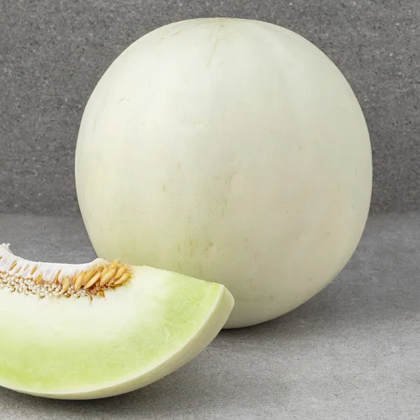 [로켓프레시] 미국산 허니듀 메론, 1입, 2.1kg 이상(대)