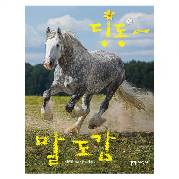 딩동~ 말 도감 지성사 1권