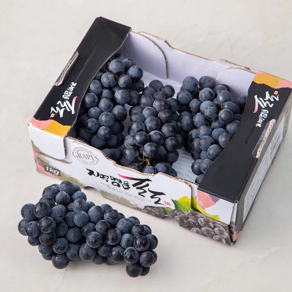 김천앤 캠벨포도 3수, 1kg, 1개