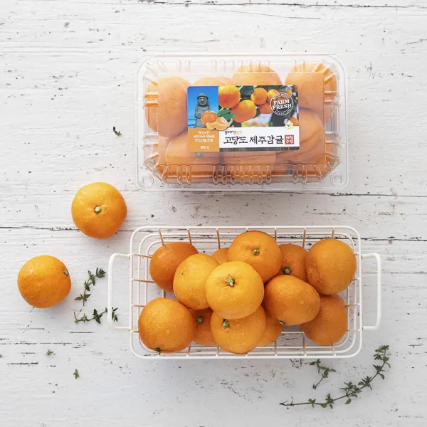 곰곰 Gap 인증 당도선별 제주감귤 800g 1팩