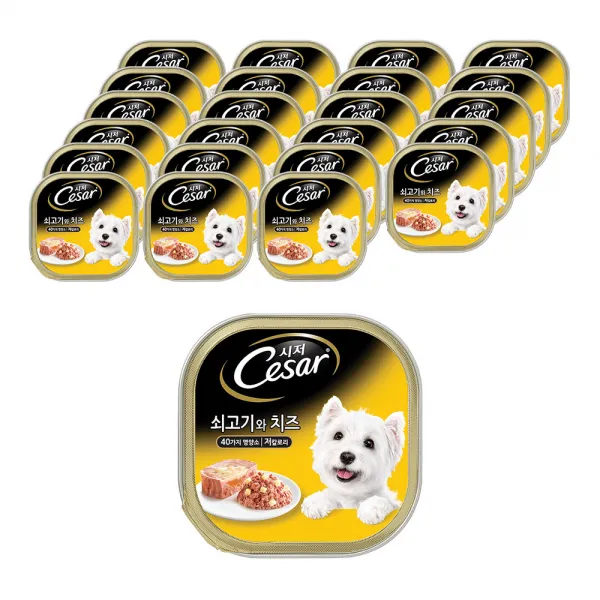 시저 반려견 주식캔 쇠고기와 치즈, 소+치즈, 100g