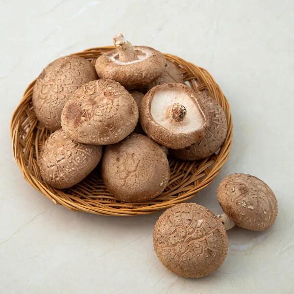 생표고버섯, 200g, 1봉