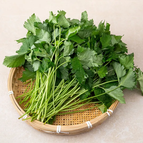참나물 국내산, 1kg, 1개