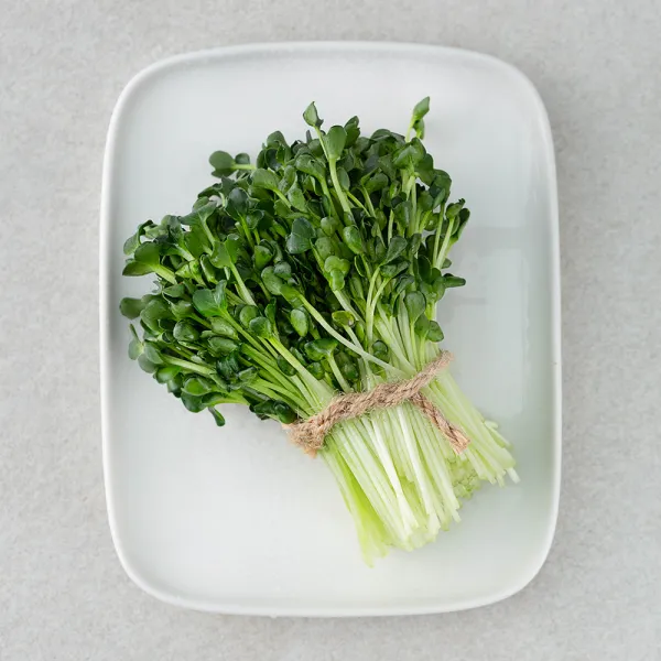 무농약 인증 국내재배 무순, 60g, 1팩