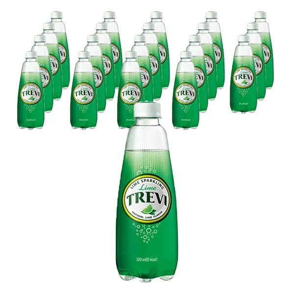 롯데칠성음료 트레비 라임 300ml 20펫 20개
