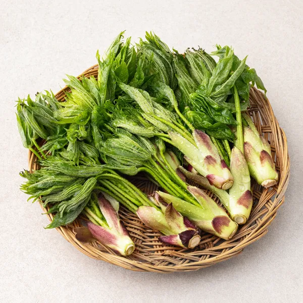 국내산 개두릅, 150g, 1팩