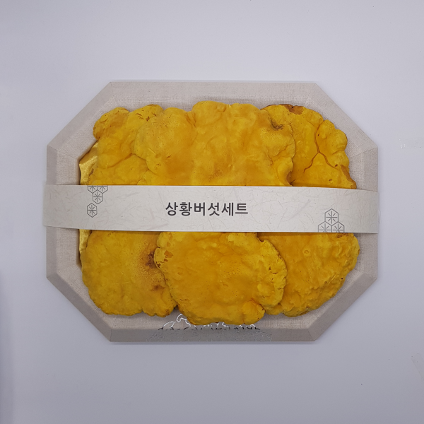 청림농원 유기농 상황버섯 선물세트 250g 1개