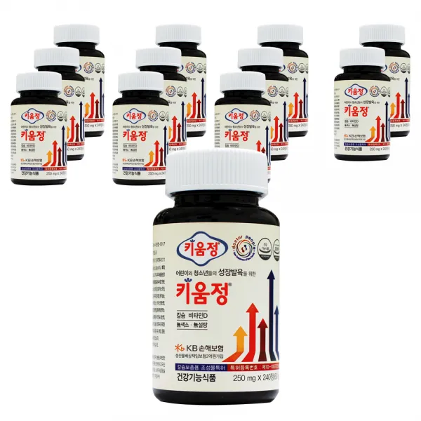 키움정 240정 12개