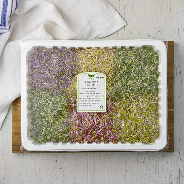 국내산 모둠새싹 6종, 500g, 1팩