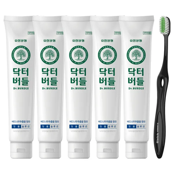 닥터버들 잇몸케어 치약 130g x 5p + 닥터버들 이중미세모 칫솔 블랙 세트, 1세트