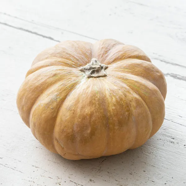 국내산 늙은호박, 3kg, 1통