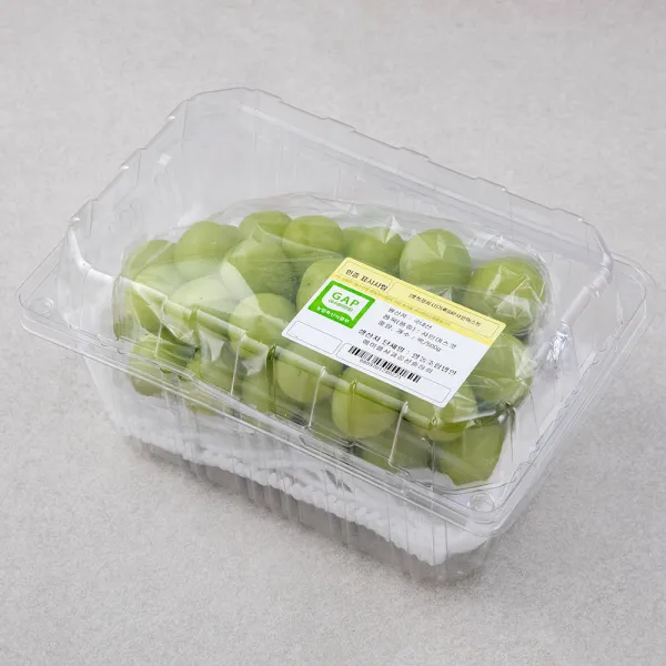 가족 GAP 인증 샤인머스캣, 500g, 1개