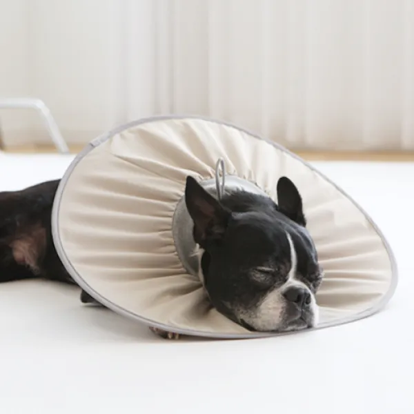 펫인뷰티 반려동물 제로 넥카라 오트밀 Xl 70g 1개