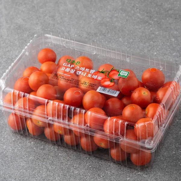 다조은 GAP 스마트팜 캔디 토마토, 1.5kg, 1개