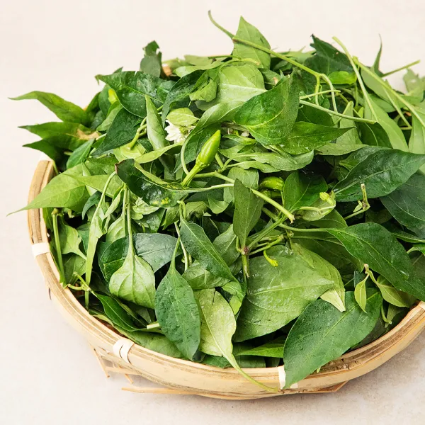 국내산 생고추잎, 300g, 1봉