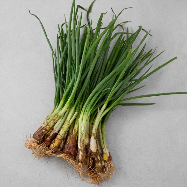 국내산 흙쪽파, 500g, 1봉