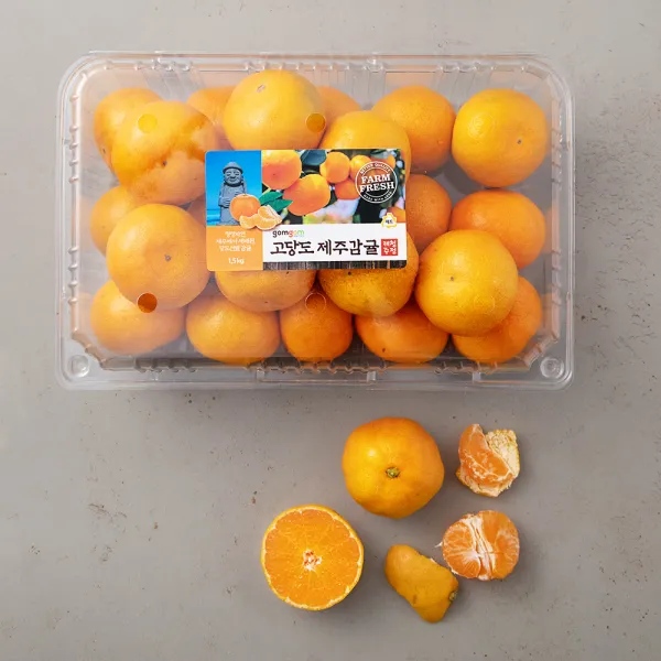 곰곰 GAP 당도선별 제주감귤, 1.5kg, 1팩