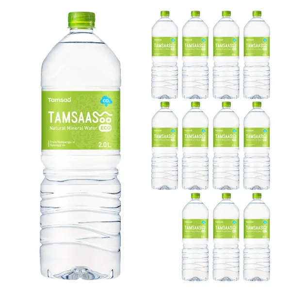 탐사수 ECO, 2L, 12개입