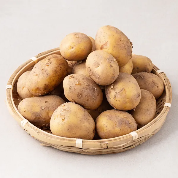 곰곰 골든킹 서산 금왕감자(햇), 2kg, 1봉