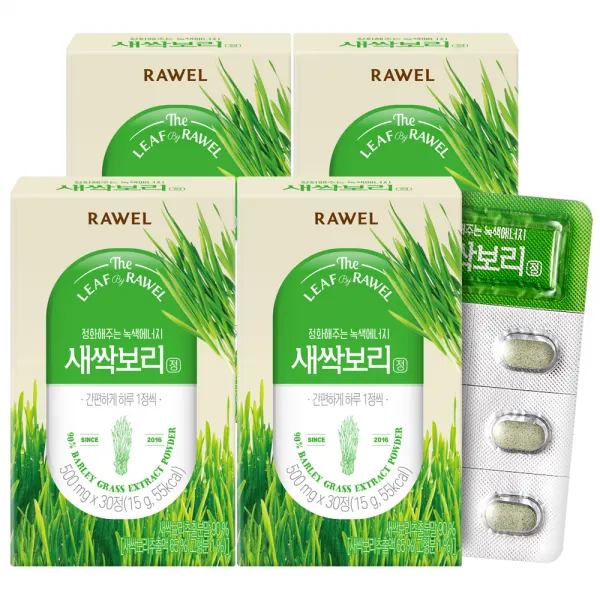 로엘 새싹보리정, 30정, 4개