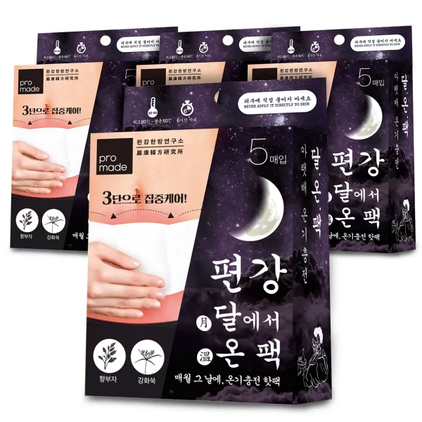 편강한방연구소 달에서 온 팩 파스형, 4개