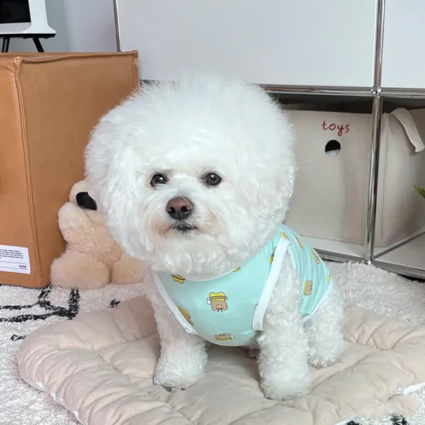 바이담수미 강아지 뉴꿀벌 나시, 민트