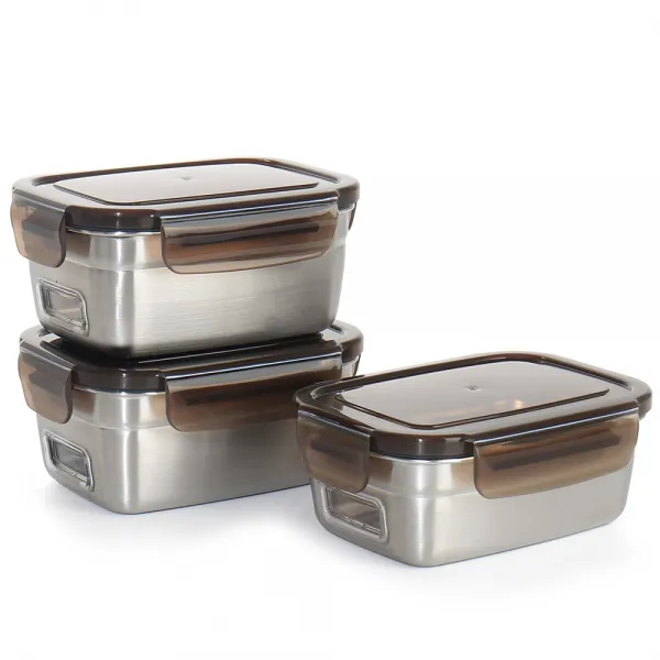 스칸디노티아 보이는 스텐 밀폐용기 3종 세트, 1세트, 밀폐용기 500ml + 600ml x 2p