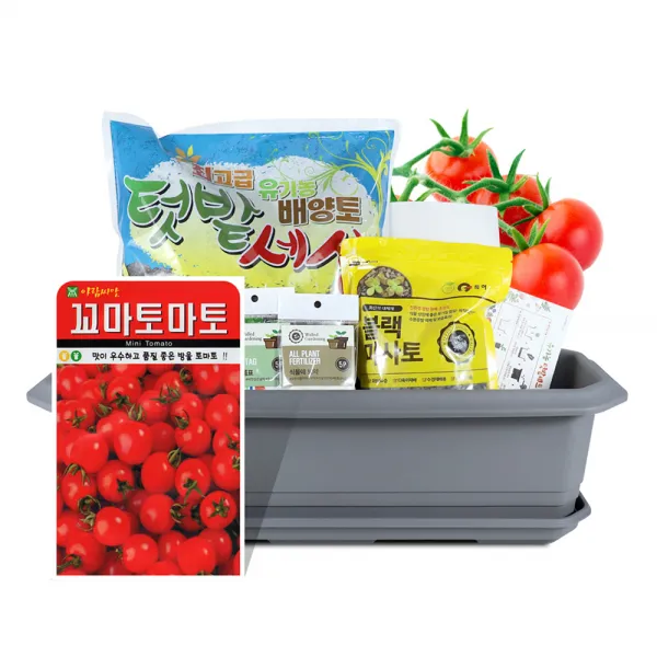 바이오필리아 채소 텃밭세트 + 식물 이름표 랜덤발송 꼬마 토마토