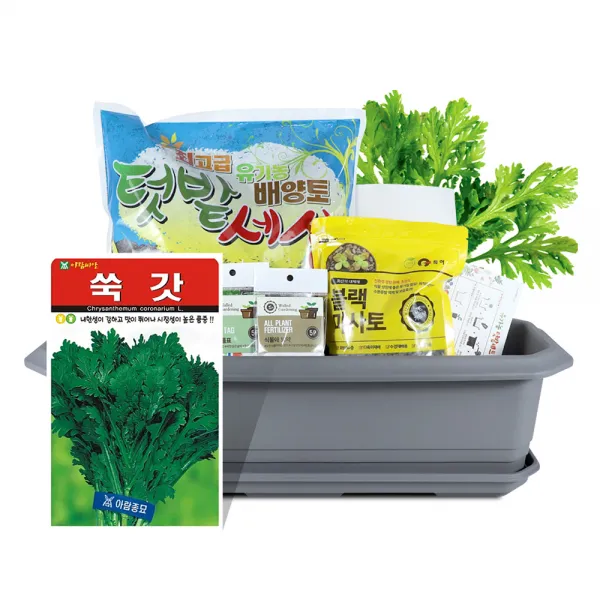 바이오필리아 채소 텃밭세트 + 식물 이름표 랜덤발송, 쑥갓